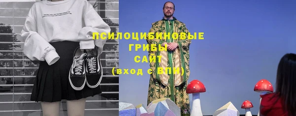 индика Покров