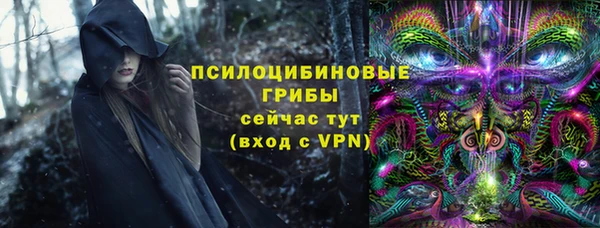 СК Покачи