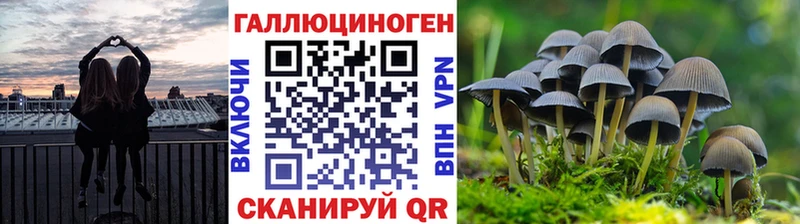 Галлюциногенные грибы Psilocybine cubensis  наркошоп  Озёры 